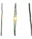 100L B/O WW LED FAIRIE LTS+GRN 35FT 