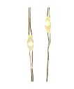 100/L WARM WHITE LED FAIRIE LIGHTS WSILVER 31.5"