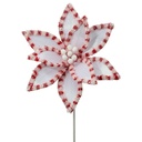 22" CANDY W/SNOWGLITTER POINSETTIA STEM