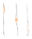 16.3' Battery Operated 50-Light Classic White Superbright LED Silver Wire Light Set In PDQ