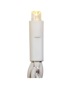 100L 5MM WW LED WHT WIRE LIGHT