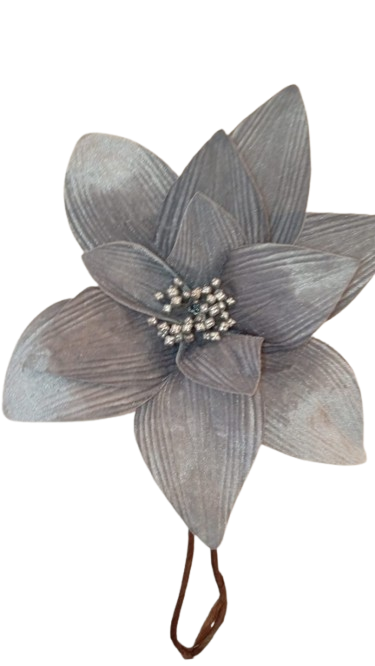 POINSETTIA SILVER