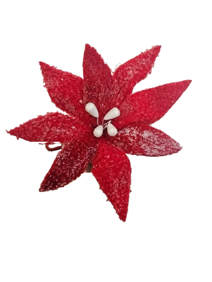 POINSETTIA ROJA CON HIELO