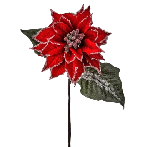 28" VELVET ICED GLITTER POINSETTIA STEM