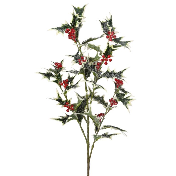 36" FROSTED HOLLY BERRY STEM