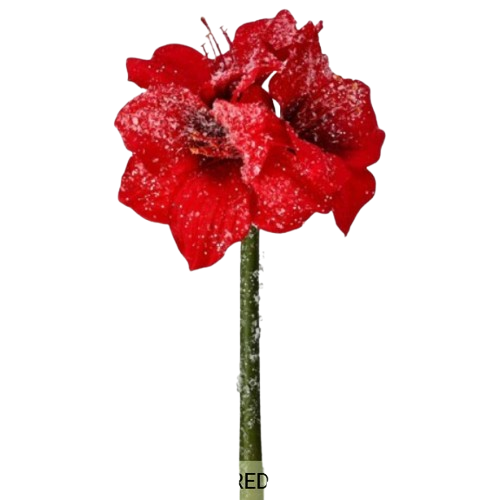 16" FROSTED MINI AMARYLIS STEM
