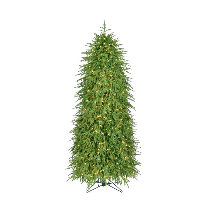 6´ 3MLED EP NAT TCH NORFOLK TREE 698T34´´D550L 