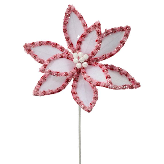 22" CANDY W/SNOWGLITTER POINSETTIA STEM