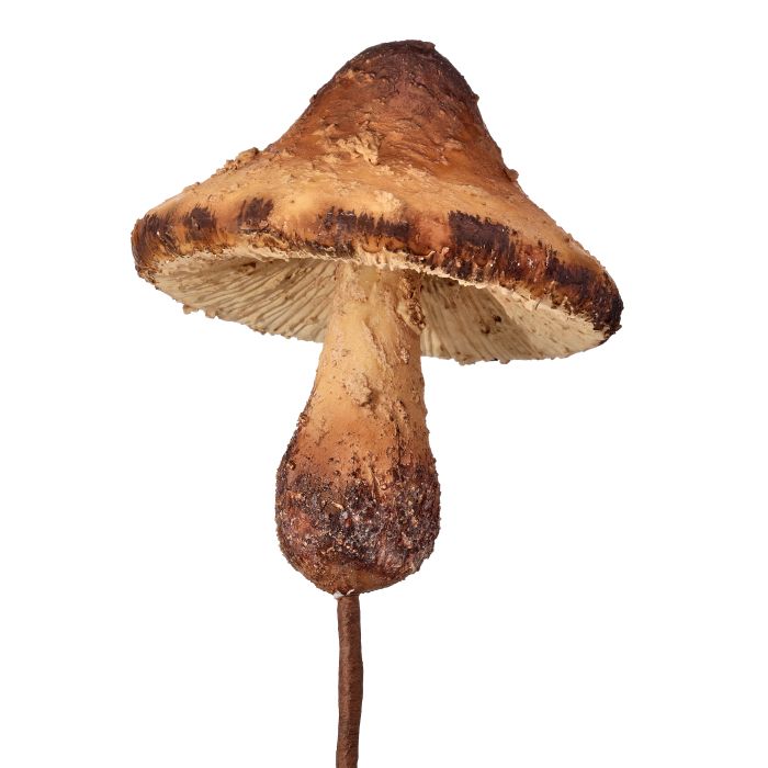 12" FOREST MUSHROOM PICK