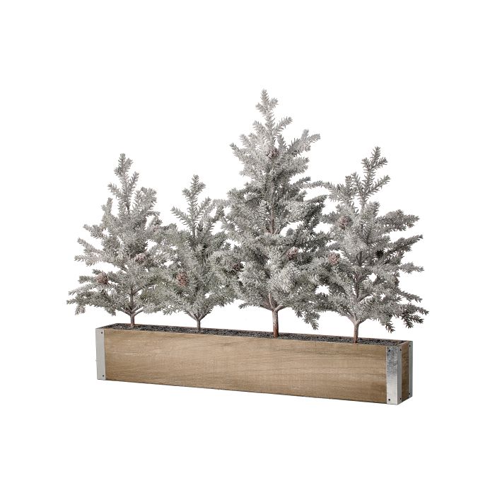 21" SNW PINE SAPPLING GROVE IN CRATE