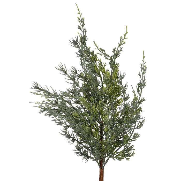 24"WEEPING CYPRESS SPRAY