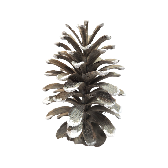 5"PLAST PAINT TIP LONG LEAF PINE CONE W/WIRE