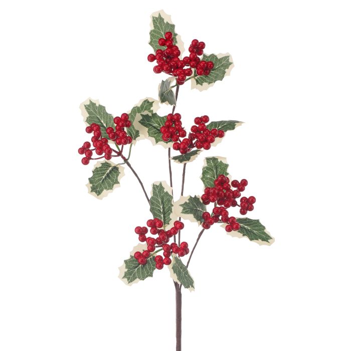 WP VARIGATED HOLLY  SPRAY RED/GREEN