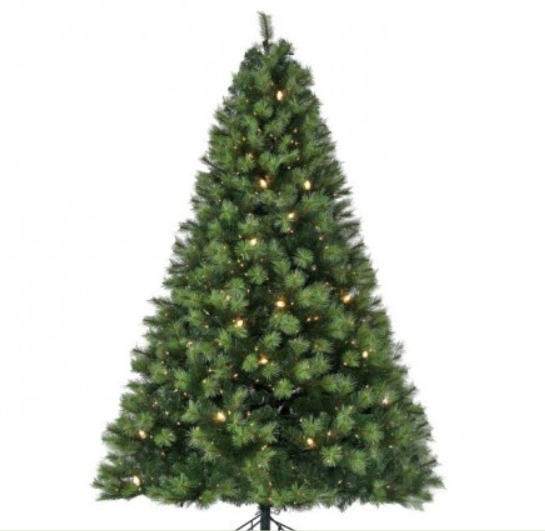 7.5 LIT SCOTCH PINE TREE 1568T57"D750L+54C7 CON LUZ