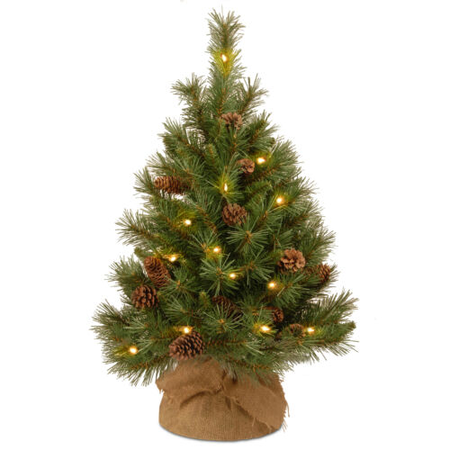 ARBOL PEPPERMINT