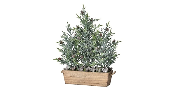 20"FROST MINI FIR W/CNS TRPL TREE IN PLANTER"