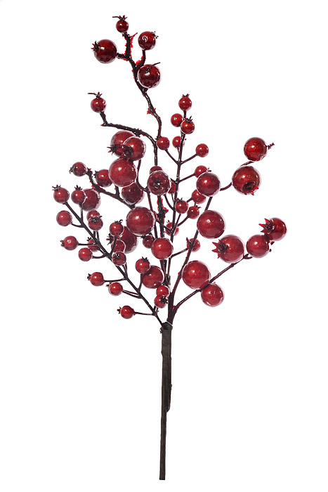 14´´WP MIXED SIZE BERRY PICK´´