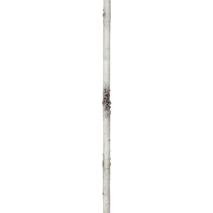 72´´20MM´´D´´ WIRED FOAM BIRCH BRANCH GARLAND