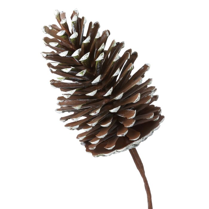 13" PE LONG LEAF PINE CONE PICK
