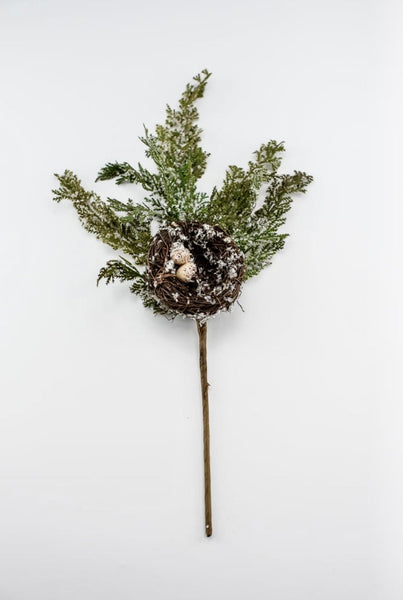 FROSTED CEDAR WITH BIRDNEST SPRAY 20"
