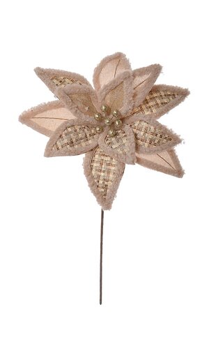 POINSETTIA BEIG