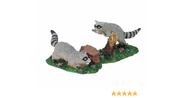 RABID RACOONS