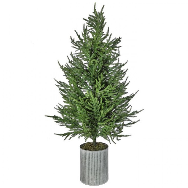 50´´POTTED NAT TCH NORFOLK PINE TREE