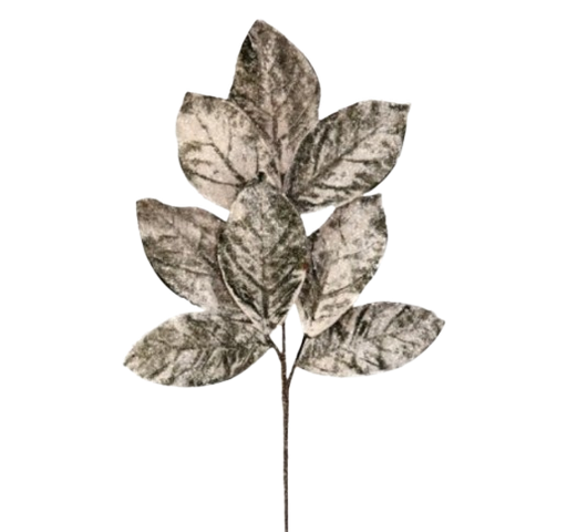 [MTX67997] 32 ´´FROSTY MAGNOLIA LEAF SPRAY UV PROOF