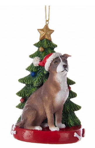 [C7954PB] 4.25´´AMERICAN PIT BULL W/TREEORN