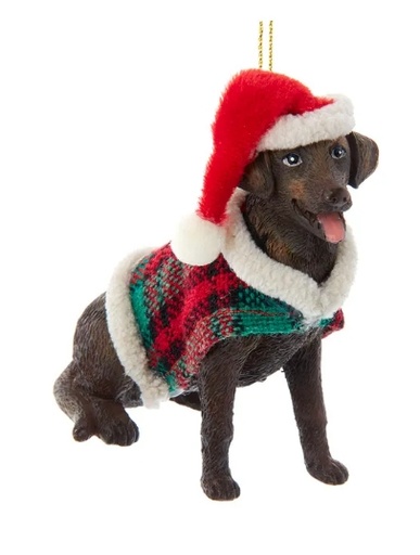 [D4218CLB] 3.5" CHOCOLATE BROWN LABRADOR W/COAT