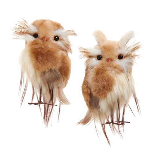 [C2538] 5"CREAM/BROWN OWL ORN 2ASSTD
