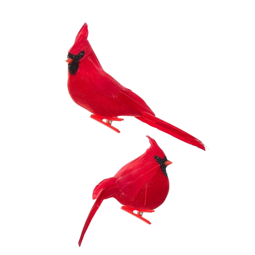 [H6106] 4.5-6" VELVET CARDINAL ON CLIP / INDIVIDUAL 