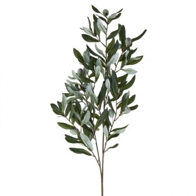 [MTF23903] ANDALUSIA OLIVE BRANCH 38"