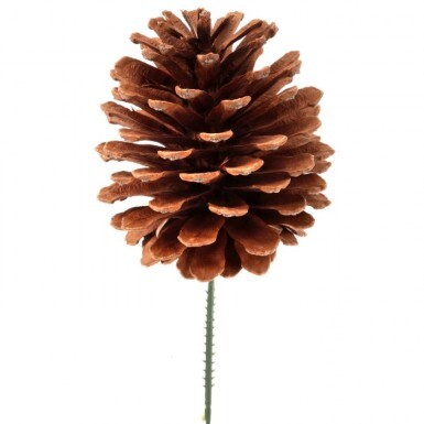 [MTX11612C] NATURAL PINE CONE PICK 4"