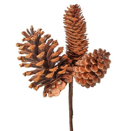 [MTX62976] 11" NATURAL MIXED CONE X3 PICK 