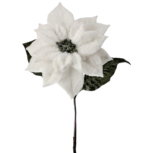 [MTX77007] 28" FUR VELVET POINSETTIA - WHITE 