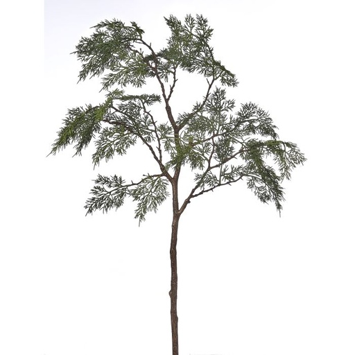 [MTX74512] 43" PL WOODLAND CEDAR SPRAY