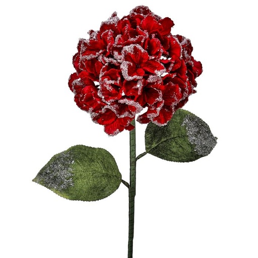 [MTX74465] 26"SNOW EDGED VELVET HYDRAGNEA STEM RED