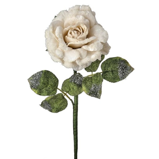 [MTX74464] 25"SNOW EDGED VELVET ROSE STEM