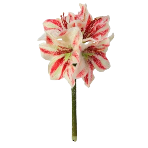 [MTX73768] 16" FROSTED MINI AMARYLIS STEM