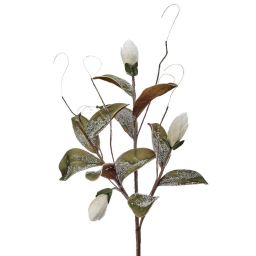 [MTX73730] 38" FOAM MAGNOLIA LEAF/BUD W/SNOW STEM