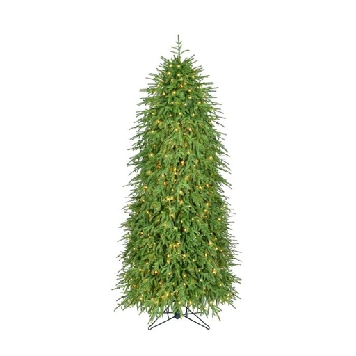 [MTX72870L] 6´ 3MLED EP NAT TCH NORFOLK TREE 698T34´´D550L 