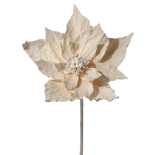 [MTX72895] 20" WINTER RETREAT WRINKLE POINSETTIA STEM