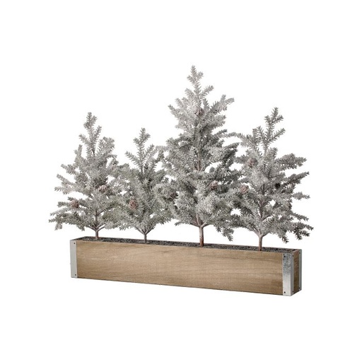 [MTX72069] 21" SNW PINE SAPPLING GROVE IN CRATE