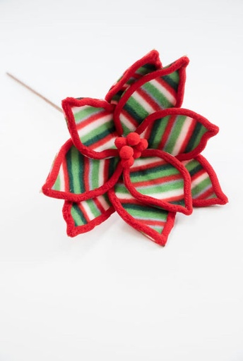 [743903152925] 24" STRIPED POINSETTIA STEM