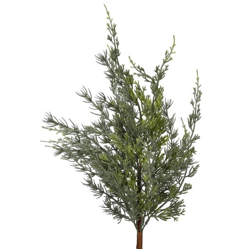 [MTX69572] 24"WEEPING CYPRESS SPRAY