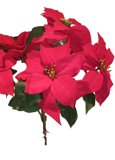 [MTX69544] 18"H WP POINSETTIA BUSH
