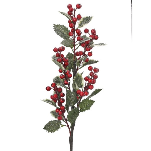 [MTX69275] FROSTED WP BERRY HOLLY LEAF SPRAY RED