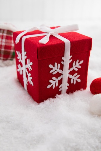 [743903105273] SNOWFLAKE PACKAGE ORNAMENT RED/WHITE