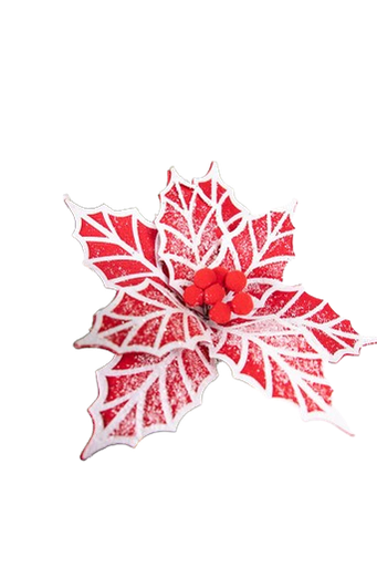 [MTX68909] FROSTED RED/WHITE CANDY POINSETTIA